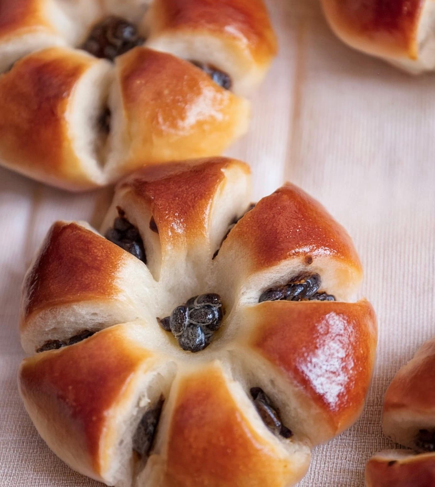 Danpatbbang (Korean Red Bean Bread, 단팥빵)